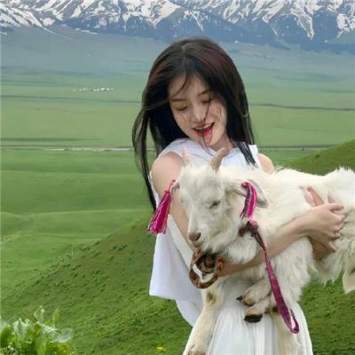 机动奥特曼第一季